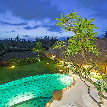 Villa Omah Padi Ubud Extérieur photo